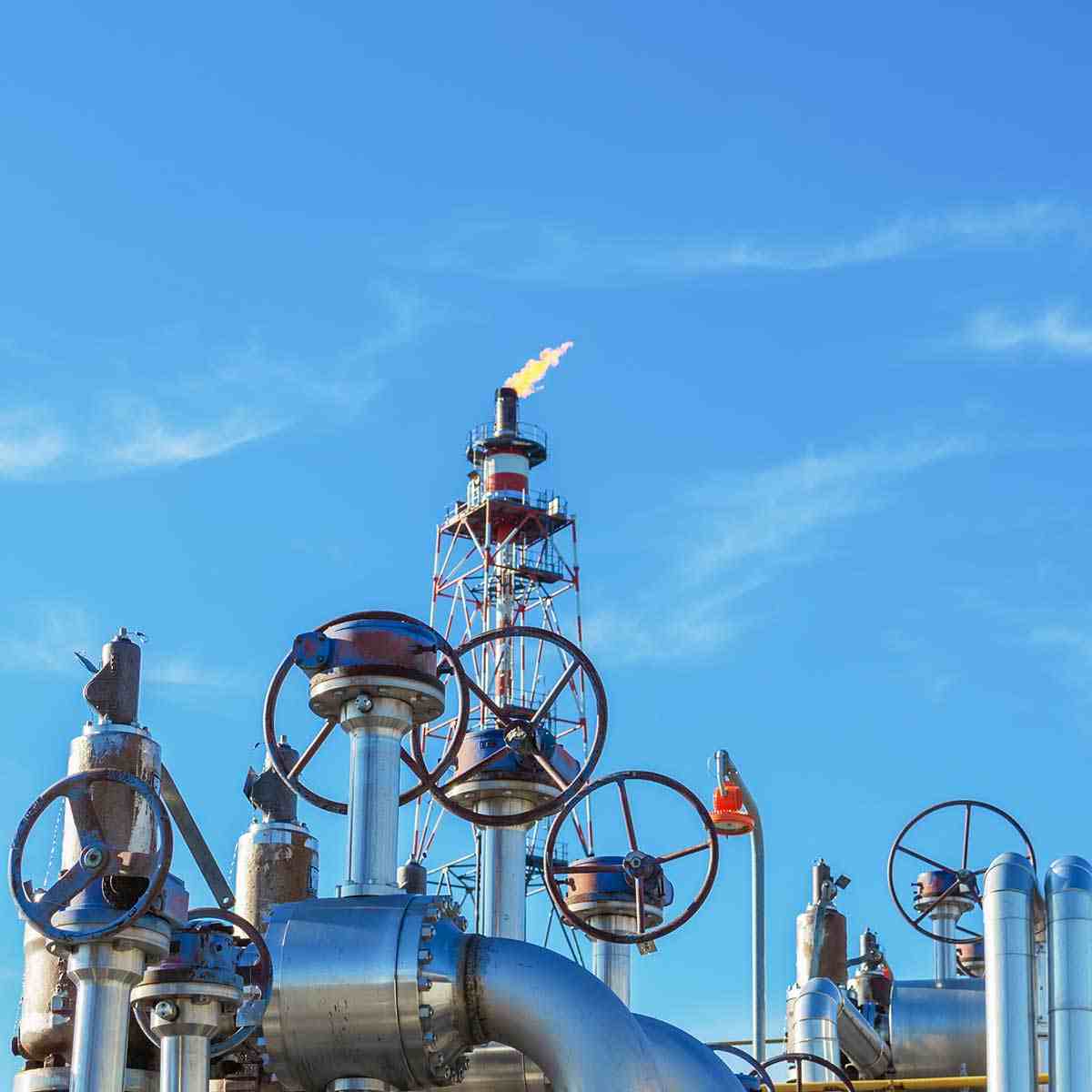 Engineering & Technical Expertise