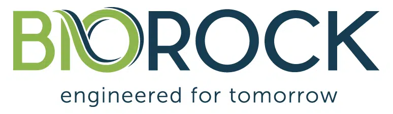 BioRock_logo_en.jpg BNROCK